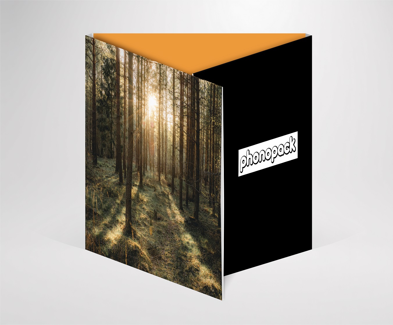 3LP-Klappcover 12 Zoll, 4-farbig - Auflage 300